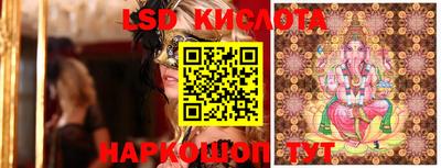прущие крисы Бийск