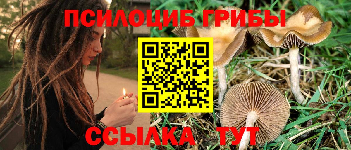 Псилоцибиновые грибы MAGIC MUSHROOMS Гудермес